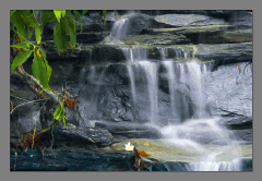 ��������, �������� �������